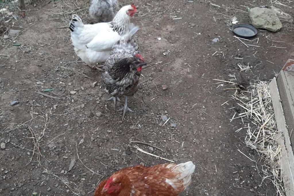 16 Rdc Maison 2Ch-2Sdb-2Wc 6 Personnes Les Gites Bigoudens Plonéour-Lanvern Εξωτερικό φωτογραφία